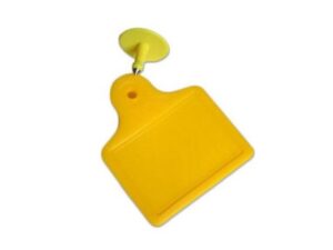 RFID UHF Animal Tag Ear for Cow and Sheep