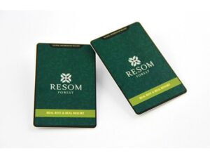 ISO 14443A NFC ntag 213 Smart Chip Card